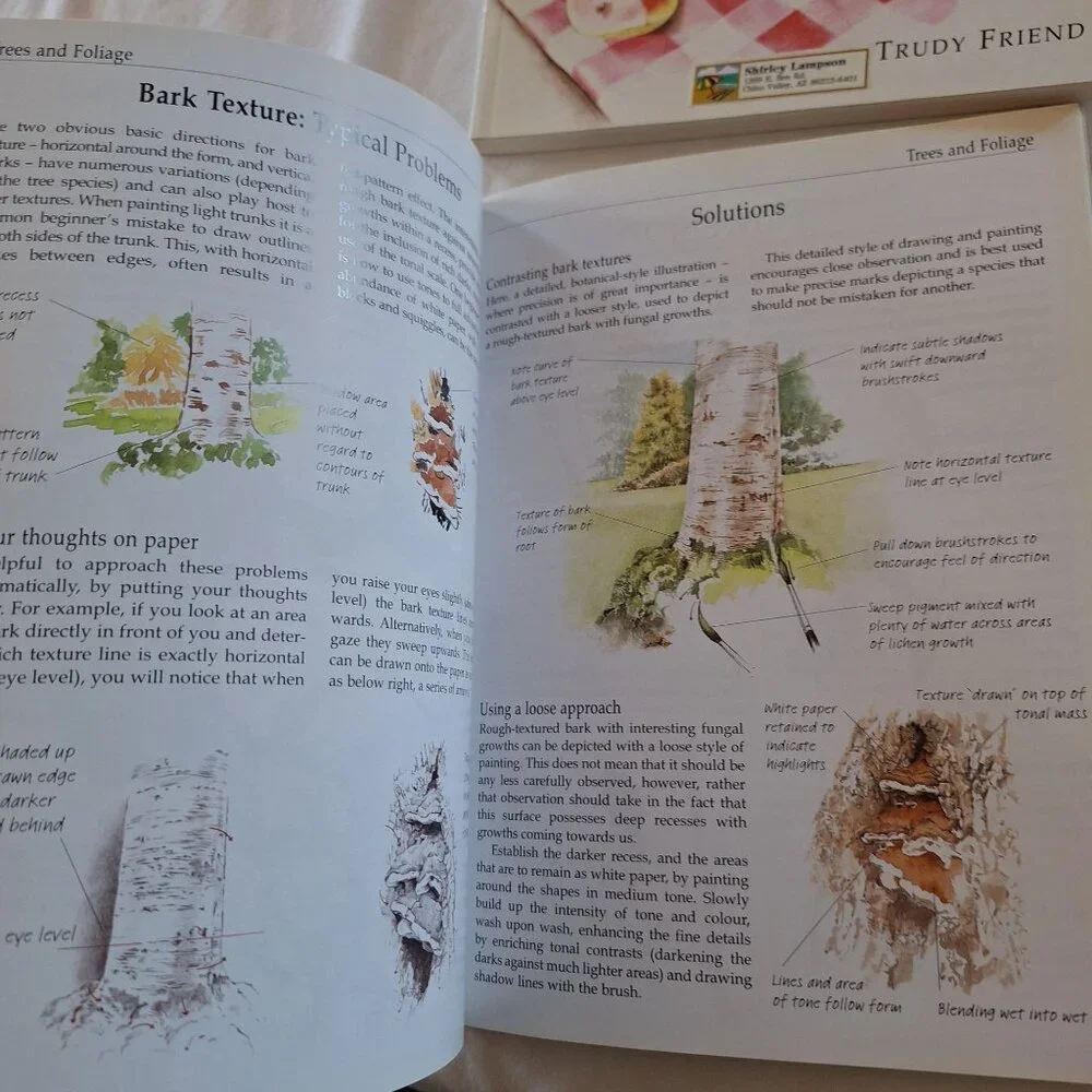 2 Trouble-Shooting Drawing & Watercolor Problems And Solutions By Trudy Friend - Picture 6 of 6